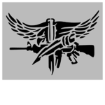 [United states] Ghostr’s Capital S.W.A.T Team
