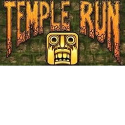 TEMPLE RUN  icon