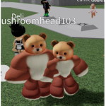 Octopus bear fan club
