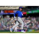 Chicago Cubs Team
