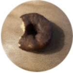 The Eaten Donut