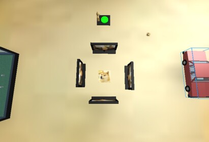 The doge nightmare