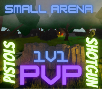 1v1 PVP Zone 