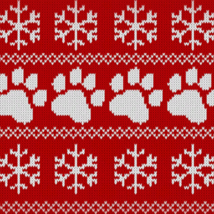 Red Cat Christmas Sweater Paws