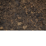 Dirt Enjoyers