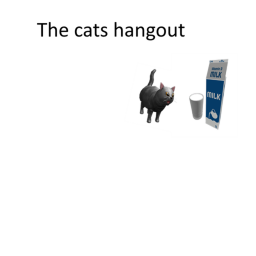 The Cats hangout