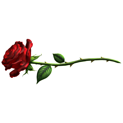 Red Rose