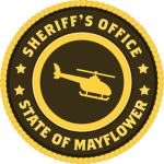 NHCSO: Air Support Unit