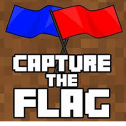 capture the flag