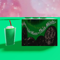 Wanna buy a box of thin mints? Read desc