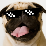 Pug pug pug studios
