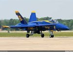BLUEANGLES