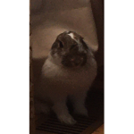 YOURWELCOMEEW
