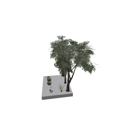 trees