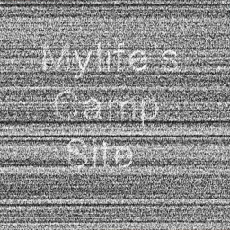 Mylife's Camp site