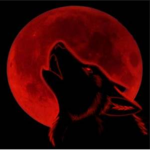 [ :The Red Mafia: ]