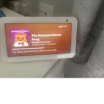 The hamster dance fan club