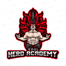Hero Academy