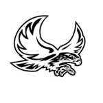 THE FALCONS BASKETBALL TEAM