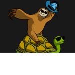 Team Sloth And Turtle combined