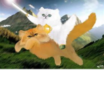 cat is da best yarr