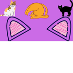 FLMEGO