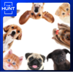 Pet World: Reimagined