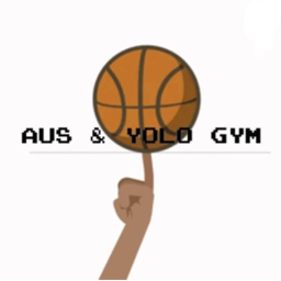 Yolo & Austin's Basketball Scrimmage Court