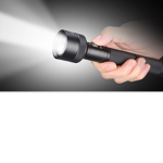 The FLash Light Club