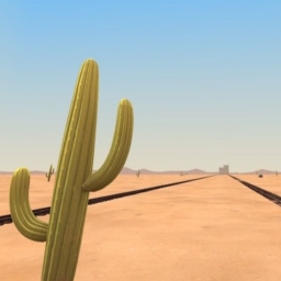 the longest desert