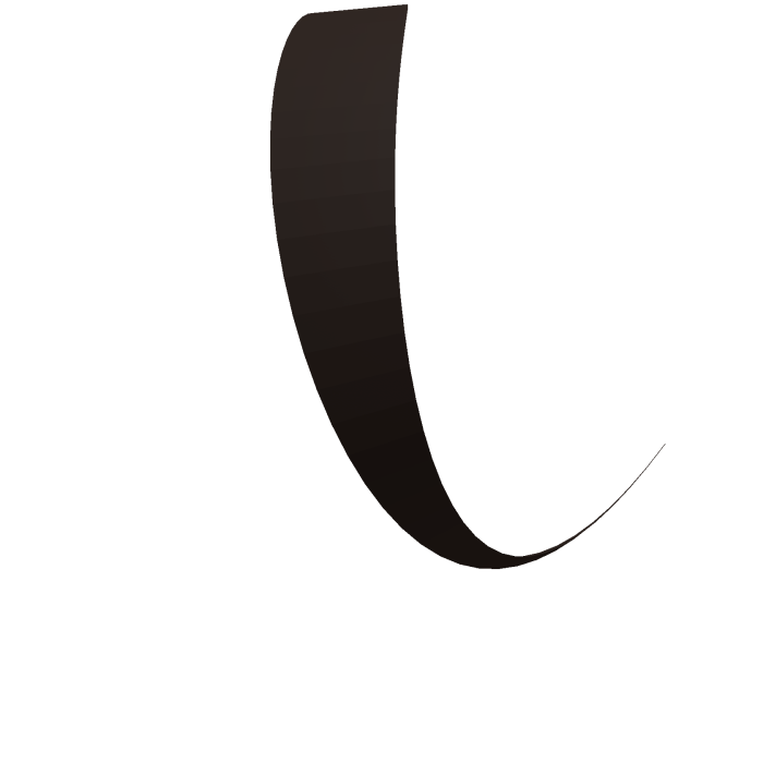 Dark brown single strand of hair baldi
