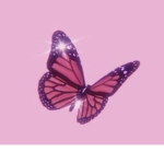 melanated butterflies