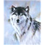 Master Wolves