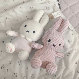 ˚. ♡.˖