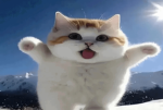 Tulb Dev