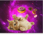 Cute kitten community