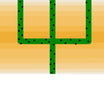 Order of the Cactus