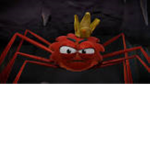 The spider king kids