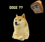 Doge from roblox