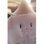 Da cool_peeps