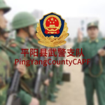 TJMC-PLAGMP 警备纠察