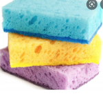 spongedude