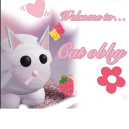 cat obby