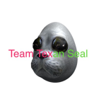 Team Texan Seal