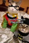Cool daddys