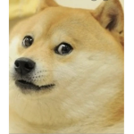 D-O-G-E UNITED