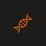 Helix Interactive