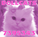 dollcats