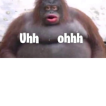 GORILLAS WORDS