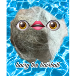 Hairy the hairball squad